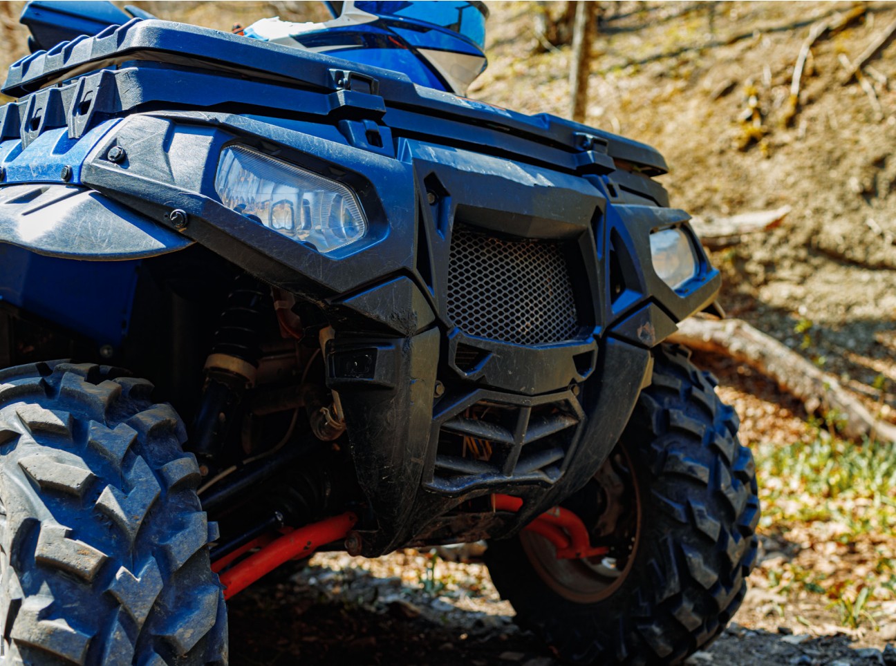 En bild på en fyrhjuling i skogen